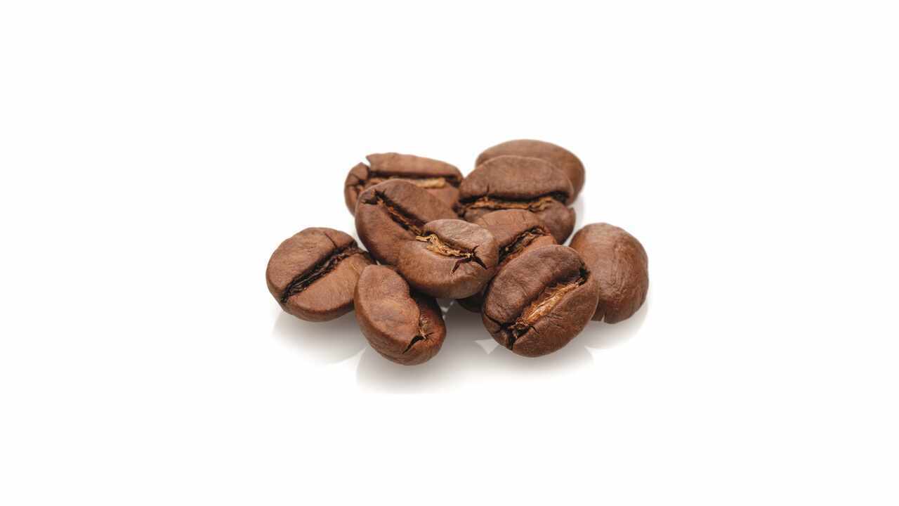 199075 Cappuccino / Kaffee Milchmixgetränk FRU 4,0 kg
199075 Cappuccino / café pour milkshake FRU 4,0 kg