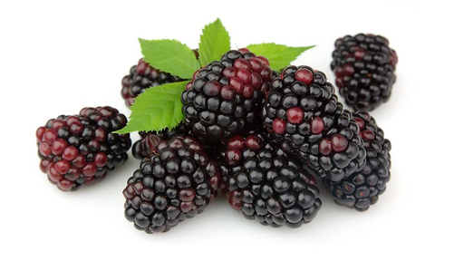 198008 Brombeer SGO 4,4 kg