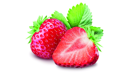 198010 Fraise en morceaux SGO 4,4 kg
