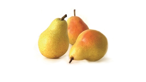 198026 Williams SGO 4,4 kg