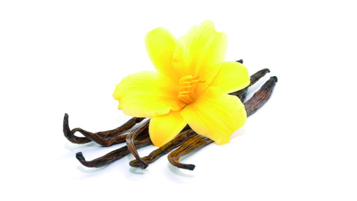 198809 Vanille mit Samen FRU 4,0 kg