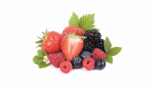 198034 Waldbeer SGO 4,0 kg